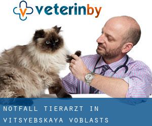 Notfall Tierarzt in Vitsyebskaya Voblastsʼ