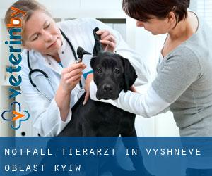 Notfall Tierarzt in Vyshneve (Oblast Kyiw)