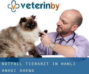 Notfall Tierarzt in Wanli (Anhui Sheng)