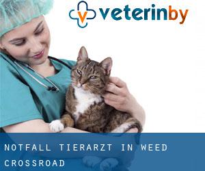 Notfall Tierarzt in Weed Crossroad