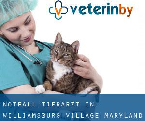 Notfall Tierarzt in Williamsburg Village (Maryland)