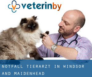 Notfall Tierarzt in Windsor and Maidenhead