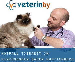 Notfall Tierarzt in Winzenhofen (Baden-Württemberg)