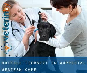 Notfall Tierarzt in Wuppertal (Western Cape)