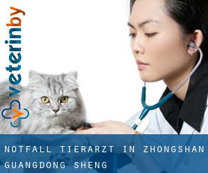 Notfall Tierarzt in Zhongshan (Guangdong Sheng) Notfall Tierarzt in Zhongshan (Guangdong Sheng)