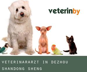 Veterinärarzt in Dezhou (Shandong Sheng)