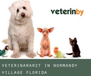 Veterinärarzt in Normandy Village (Florida)