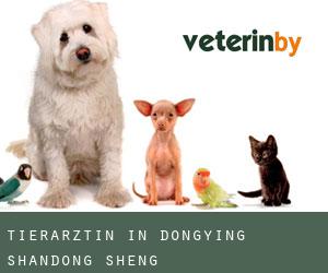Tierärztin in Dongying (Shandong Sheng) Tierärztin in Dongying (Shandong Sheng)