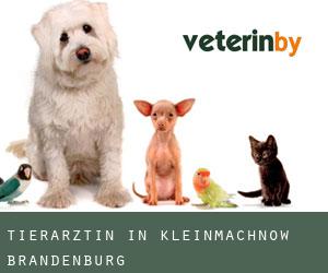 Tierärztin in Kleinmachnow (Brandenburg)