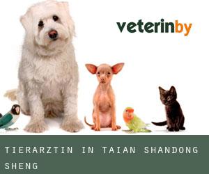 Tierärztin in Tai'an (Shandong Sheng) Tierärztin in Tai'an (Shandong Sheng)