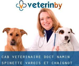 Cab Veterinaire Doct Namin Spinette (Varois-et-Chaignot)