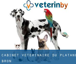 Cabinet Vétérinaire du Platane (Bron)