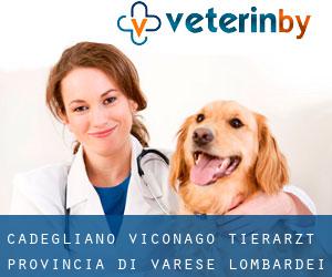 Cadegliano-Viconago tierarzt (Provincia di Varese, Lombardei)