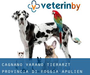 Cagnano Varano tierarzt (Provincia di Foggia, Apulien)