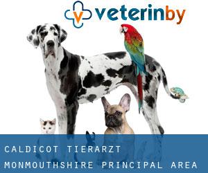 Caldicot tierarzt (Monmouthshire principal area, Wales)