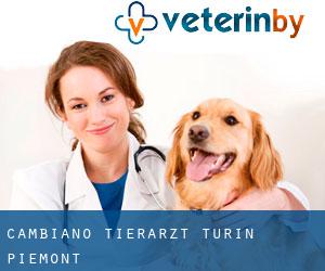 Cambiano tierarzt (Turin, Piemont)
