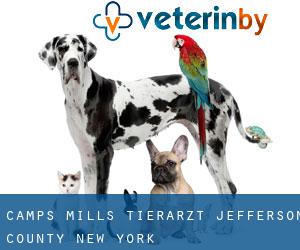 Camps Mills tierarzt (Jefferson County, New York)