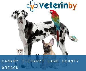 Canary tierarzt (Lane County, Oregon)
