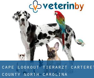 Cape Lookout tierarzt (Carteret County, North Carolina)