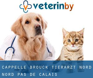 Cappelle-Brouck tierarzt (Nord, Nord-Pas-de-Calais)