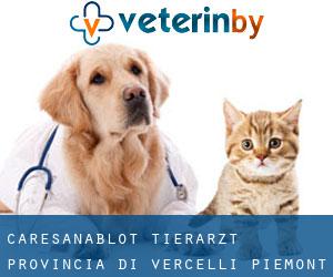 Caresanablot tierarzt (Provincia di Vercelli, Piemont)