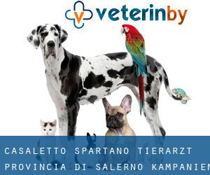 Casaletto Spartano tierarzt (Provincia di Salerno, Kampanien)