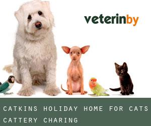Catkins Holiday Home for Cats - Cattery (Charing)