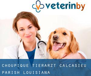 Choupique tierarzt (Calcasieu Parish, Louisiana)