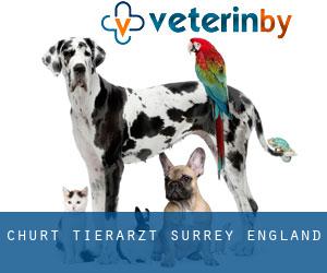 Churt tierarzt (Surrey, England)