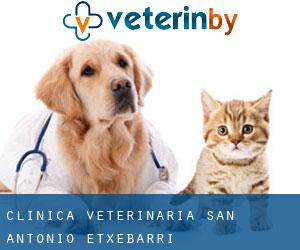 Clínica Veterinaria San Antonio (Etxebarri)