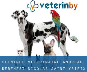 Clinique Vétérinaire Andreau Debenest Nicolas (Saint-Yrieix-la-Perche)