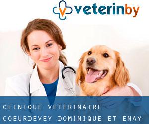 Clinique Vétérinaire Coeurdevey Dominique et Enay Brigitte (Ussel)
