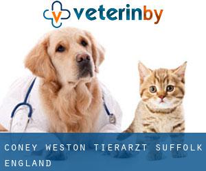 Coney Weston tierarzt (Suffolk, England)