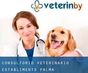 Consultorio Veterinario Establiments (Palma)