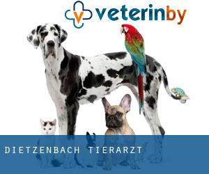 Dietzenbach tierarzt