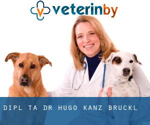 Dipl-TA Dr. Hugo Kanz (Brückl)