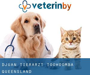 Djuan tierarzt (Toowoomba, Queensland)