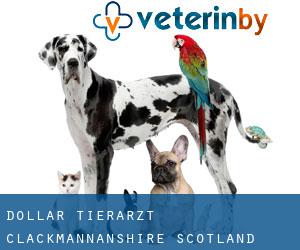 Dollar tierarzt (Clackmannanshire, Scotland)