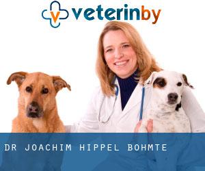 Dr. Joachim Hippel (Bohmte)