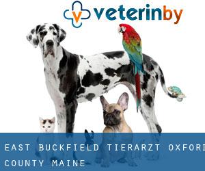 East Buckfield tierarzt (Oxford County, Maine)