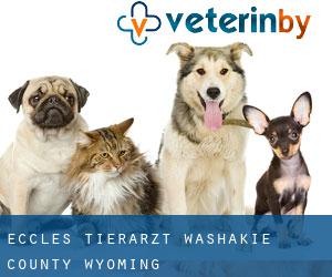 Eccles tierarzt (Washakie County, Wyoming)