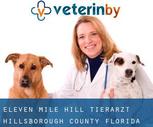 Eleven Mile Hill tierarzt (Hillsborough County, Florida)