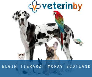 Elgin tierarzt (Moray, Scotland)