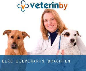 Elke dierenarts Drachten