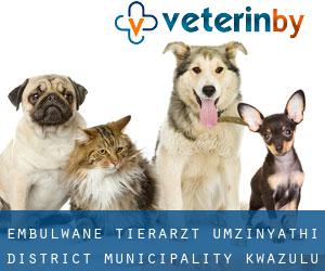 Embulwane tierarzt (uMzinyathi District Municipality, KwaZulu-Natal)