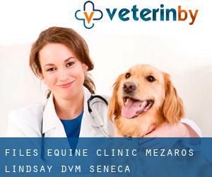 Files Equine Clinic: Mezaros Lindsay DVM (Seneca)