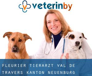 Fleurier tierarzt (Val-de-Travers, Kanton Neuenburg)