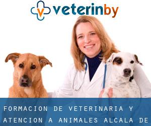 Formación de Veterinaria y atención a animales. (Alcalá de Henares)