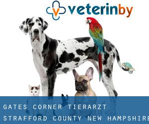 Gates Corner tierarzt (Strafford County, New Hampshire)