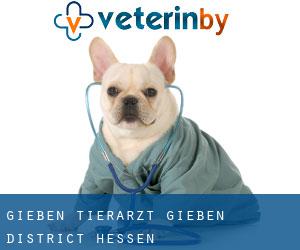 Gießen tierarzt (Gießen District, Hessen) Gießen tierarzt (Gießen District, Hessen)